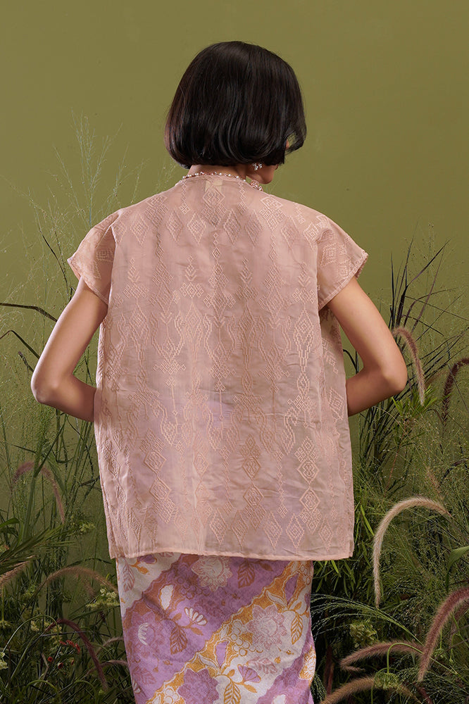 Outer Brown Organza T2140